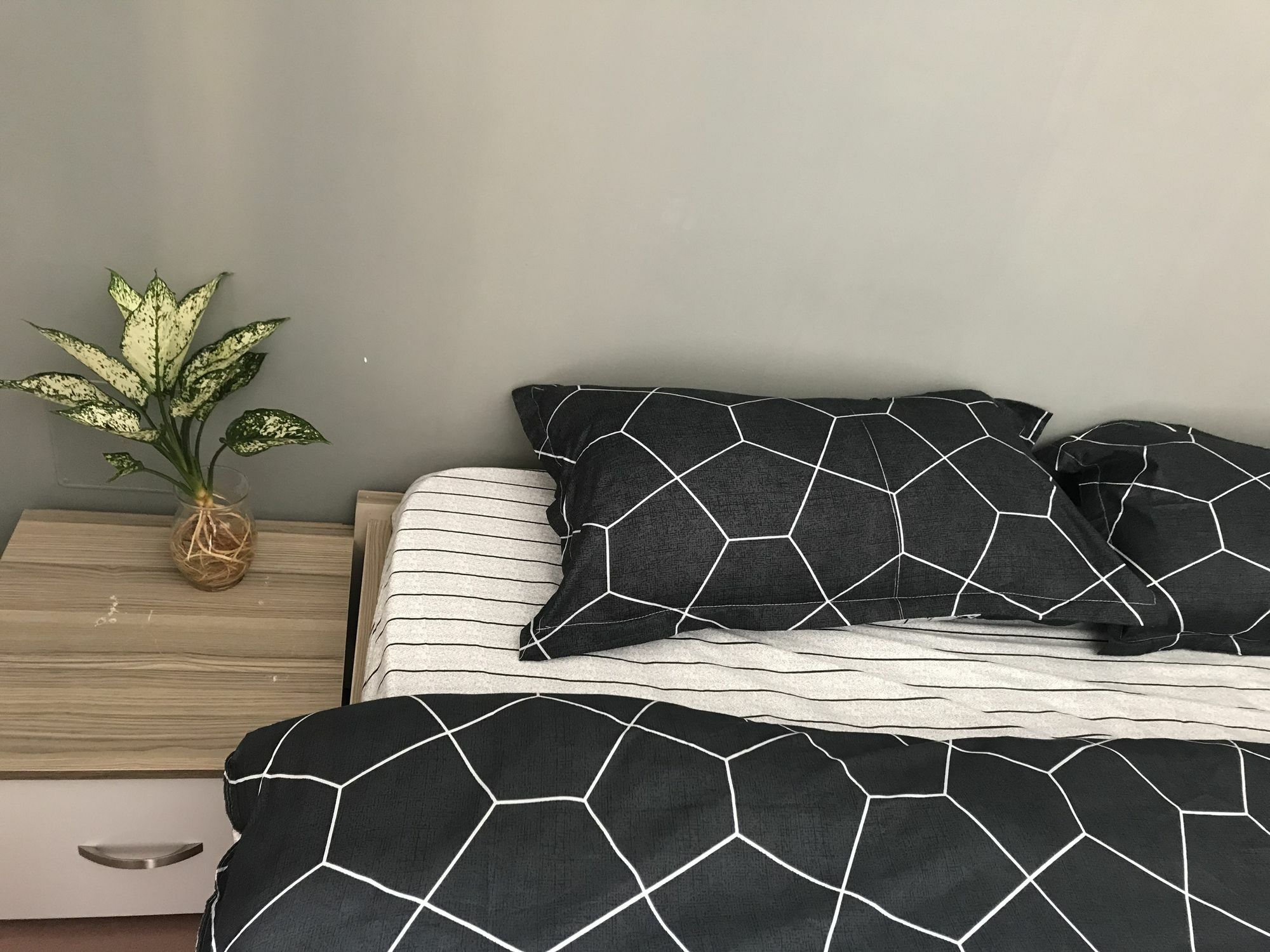 Meowies Homestay 호치민 외부 사진
