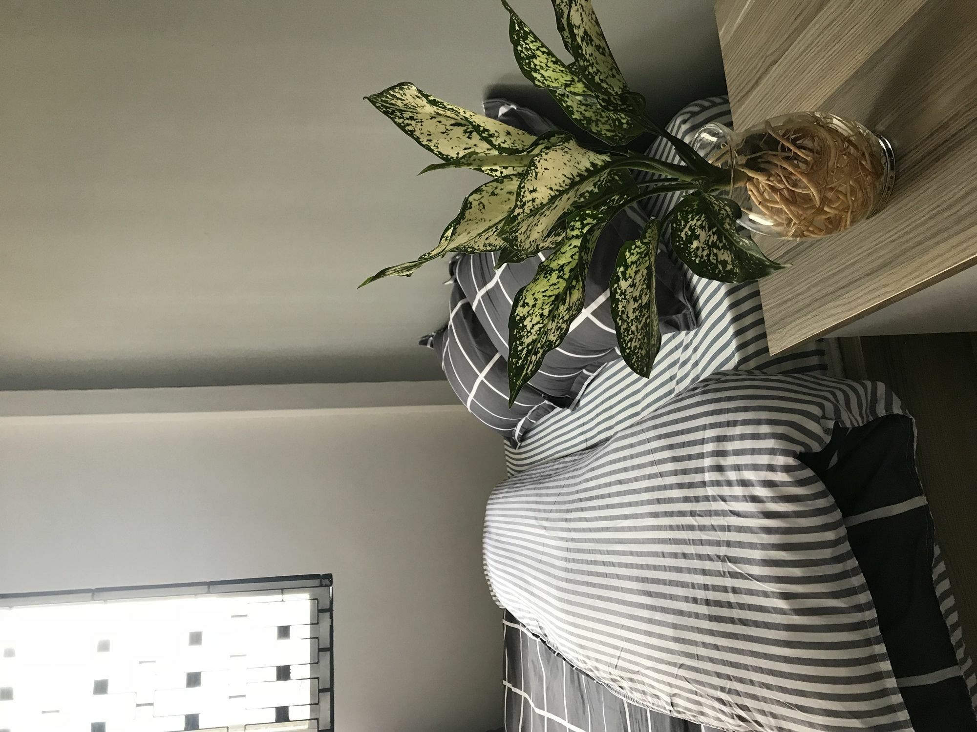 Meowies Homestay 호치민 외부 사진
